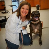 Sadie is one of Dr.E's favorite patients !